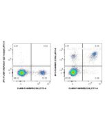 FcZero-rAb? APC Anti-Mouse CD3e (145-2C11) Rabbit IgG Recombinant Antibody Proteintech  APC-FcA65651