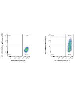 FcZero-rAb? APC Anti-Human STRO-1 (STRO-1) Rabbit IgG Recombinant Antibody Proteintech  APC-FcA65585