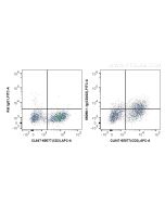 Anti-Mouse LAG-3/CD223 (C9B7W) Proteintech  65098-1-Ig