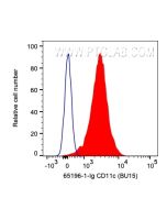 Anti-Human CD11c (BU15) Proteintech  65196-1-Ig