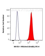 Anti-Mouse HER2/ErbB2 Rabbit Recombinant Antibody Proteintech  98153-1-RR