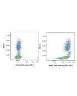 Anti-Human JAM-A/CD321 Rabbit Recombinant Antibody Proteintech  98328-3-RR