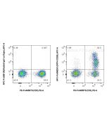 FcZero-rAb? APC Anti-Human DPP4/CD26 Rabbit Recombinant Antibody Proteintech  APC-FcA98261