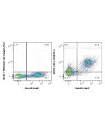 Anti-Human IL-10RB Rabbit Recombinant Antibody Proteintech  98292-1-RR