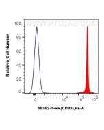 Anti-Rat CD90 Rabbit Recombinant Antibody Proteintech  98162-1-RR