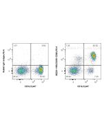 Anti-Human C5AR1/CD88 Rabbit Recombinant Antibody Proteintech  98226-1-RR