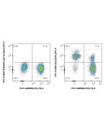 FcZero-rAb? APC Anti-Human CD244 Rabbit Recombinant Antibody Proteintech  APC-FcA98133