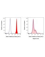 Anti-Mouse CD45.2 Rabbit Recombinant Antibody Proteintech  98168-1-RR