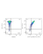Anti-Human CD86 (IT2.2) Proteintech  65118-1-Ig