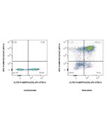 FcZero-rAb? APC Anti-Human Ki-67 Rabbit Recombinant Antibody Proteintech  APC-FcA98143-2