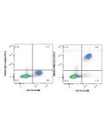 Anti-Canine CD14 Rabbit Recombinant Antibody Proteintech  98649-2-RR