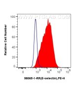 Anti-Mouse E-selectin/CD62E Rabbit Recombinant Antibody Proteintech  98065-1-RR