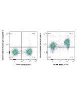 FcZero-rAb? Biotin Anti-Mouse CD1d (1B1) Rabbit IgG Recombinant Antibody Proteintech  Biotin-FcA65652