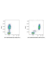 FcZero-rAb? APC Anti-Human CEACAM3/6 (CD66c/d) Rabbit Recombinant Antibody Proteintech  APC-FcA98169