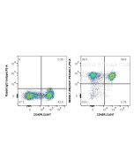 Anti-Mouse CD31 Rabbit Recombinant Antibody Proteintech  98258-1-RR