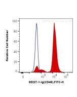Anti-Mouse CD48 (HM48-1) Proteintech  65227-1-Ig