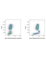 FcZero-rAb? Biotin Anti-Human IFNGR1/CD119 Rabbit Recombinant Antibody Proteintech  Biotin-FcA98343