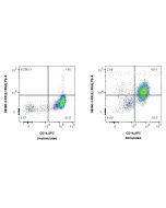 Anti-Human IL-15RA Rabbit Recombinant Antibody Proteintech  98380-3-RR