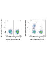 FcZero-rAb? APC Anti-Human NCAM1/CD56 Rabbit Recombinant Antibody Proteintech  APC-FcA98033