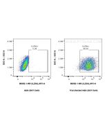 Anti-Mouse IL-23 p19 Rabbit Recombinant Antibody Proteintech  98392-1-RR