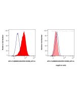 FcZero-rAb? APC Anti-Human VEGFR2/CD309 Rabbit Recombinant Antibody Proteintech  APC-FcA98009