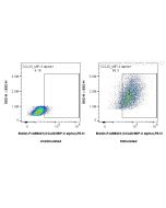 FcZero-rAb? Biotin Anti-Human CCL20/MIP-3 alpha Rabbit Recombinant Antibody Proteintech  Biotin-FcA98221