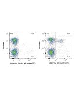 Anti-Mouse CD103 (2E7) Proteintech  65047-1-Ig