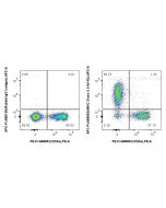 FcZero-rAb? APC Anti-Mouse MHC Class II (I-A/I-E) (M5/114.15.2) Rabbit IgG Recombinant Antibody Proteintech  APC-FcA65663