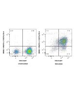 Anti-Human PD-L1/CD274 Rabbit Recombinant Antibody Proteintech  98062-1-RR