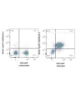 Anti-Mouse PD-1/CD279 (J43.1) Proteintech  65120-1-Ig