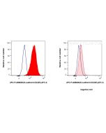 FcZero-rAb? APC Anti-Human N-cadherin Rabbit Recombinant Antibody Proteintech  APC-FcA98006