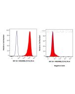 Anti-Human Neprilysin/CD10 Rabbit Recombinant Antibody Proteintech  98116-1-RR