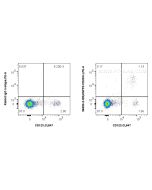 Anti-Human ENPP3/CD203c Rabbit Recombinant Antibody Proteintech  98490-2-RR