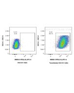 Anti-Canine IL-6 Rabbit Recombinant Antibody Proteintech  98680-3-RR