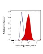 Anti-Mouse B7-H3/CD276 (MJ18) Proteintech  65221-1-Ig