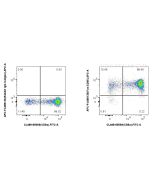 FcZero-rAb? APC Anti-Mouse Fas/CD95 Rabbit Recombinant Antibody Proteintech  APC-FcA98135