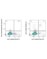 FcZero-rAb? Biotin Anti-Human GPR56 Rabbit Recombinant Antibody Proteintech  Biotin-FcA98291