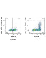 Anti-Mouse OX40L/TNFSF4 Rabbit Recombinant Antibody Proteintech  98381-1-RR