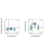 FcZero-rAb? APC Anti-Human CD84 Rabbit Recombinant Antibody Proteintech  APC-FcA98108