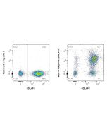 Anti-Human DPP4/CD26 Rabbit Recombinant Antibody Proteintech  98261-1-RR