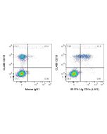 Anti-Human CD1c (L161) Proteintech  65176-1-Ig