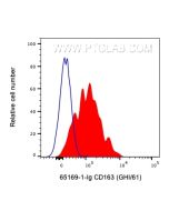 Anti-Human CD163 (GHI/61) Proteintech  65169-1-Ig