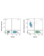 Anti-Mouse Glycophorin A/CD235a Rabbit Recombinant Antibody Proteintech  98269-1-RR