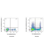 FcZero-rAb? APC Anti-Human TNFRSF9/CD137 Rabbit Recombinant Antibody Proteintech  APC-FcA98112