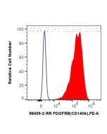 Anti-Human PDGFR beta/CD140b Rabbit Recombinant Antibody Proteintech  98405-2-RR