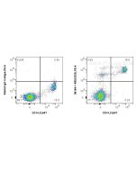 Anti-Human CD33 Rabbit Recombinant Antibody Proteintech  98184-1-RR