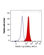 Anti-Human CD85j / LILRB1 (GHI/75) Proteintech  65238-1-Ig
