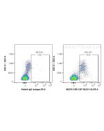 Anti-Human CSF1R/CD115 Rabbit Recombinant Antibody Proteintech  98379-3-RR