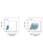 Anti-Mouse IL-1 alpha Rabbit Recombinant Antibody Proteintech  98052-1-RR