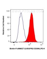 FcZero-rAb? Biotin Anti-Mouse VEGFR2/CD309 Rabbit Recombinant Antibody Proteintech  Biotin-FcA98027-2